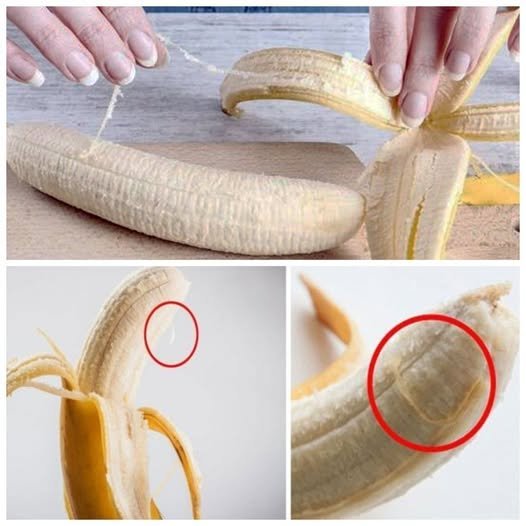 The Little Strings on Bananas – Their Surprising Purpose! 🍌