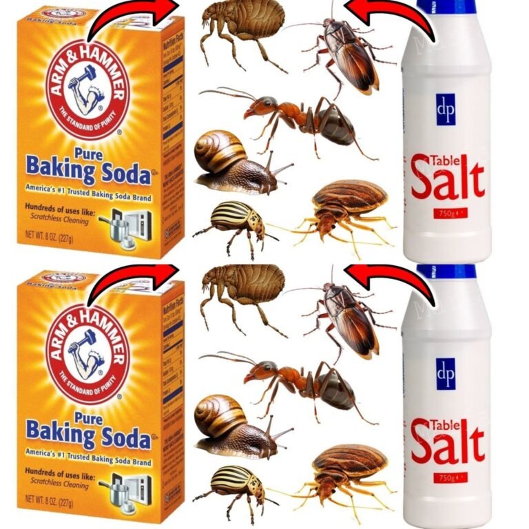 Ultimate Pest Control: Baking Soda & Salt Solution for Fleas, Bedbugs, Ants, Cockroaches, Slugs, and More! ?