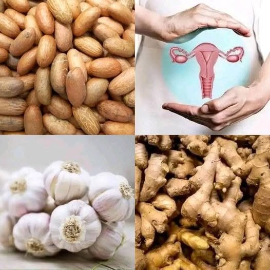 🔥 Try This Super Combination: Bitter Kola + Garlic + Ginger + Honey! A Powerful Natural Remedy!