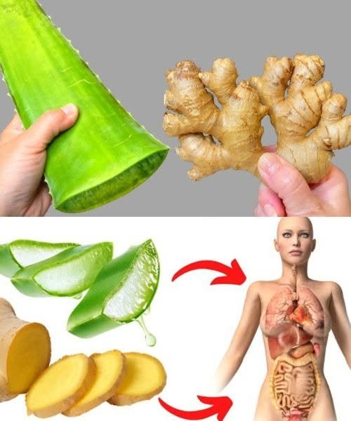 The Health Benefits of Ginger and Aloe Vera: A Dynamic Duo for Wellness