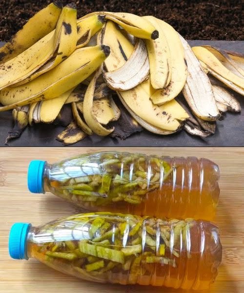 The Magic of Banana Peel Liquid: A Zero-Waste Solution for Your Home and Garden