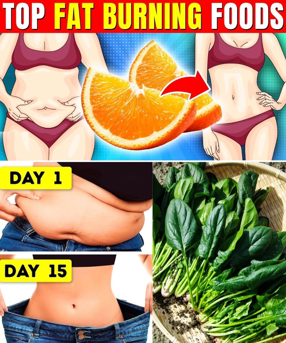 TOP 18 FAT BURNING Foods Women Should Eat EVERY DAY