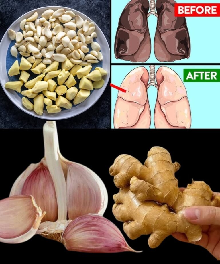 Garlic & Ginger: A Timeless Duo for Everyday Wellness 🌿✨