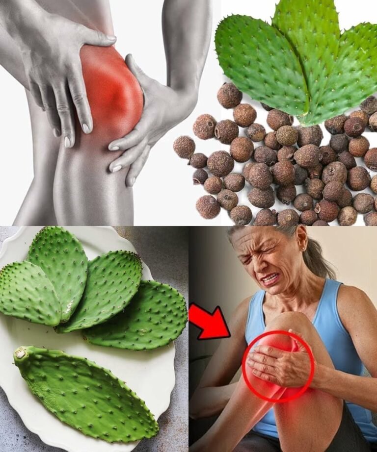 Relieve Joint Swelling and Bone Pain with Prickly Pear (Nopal) Water