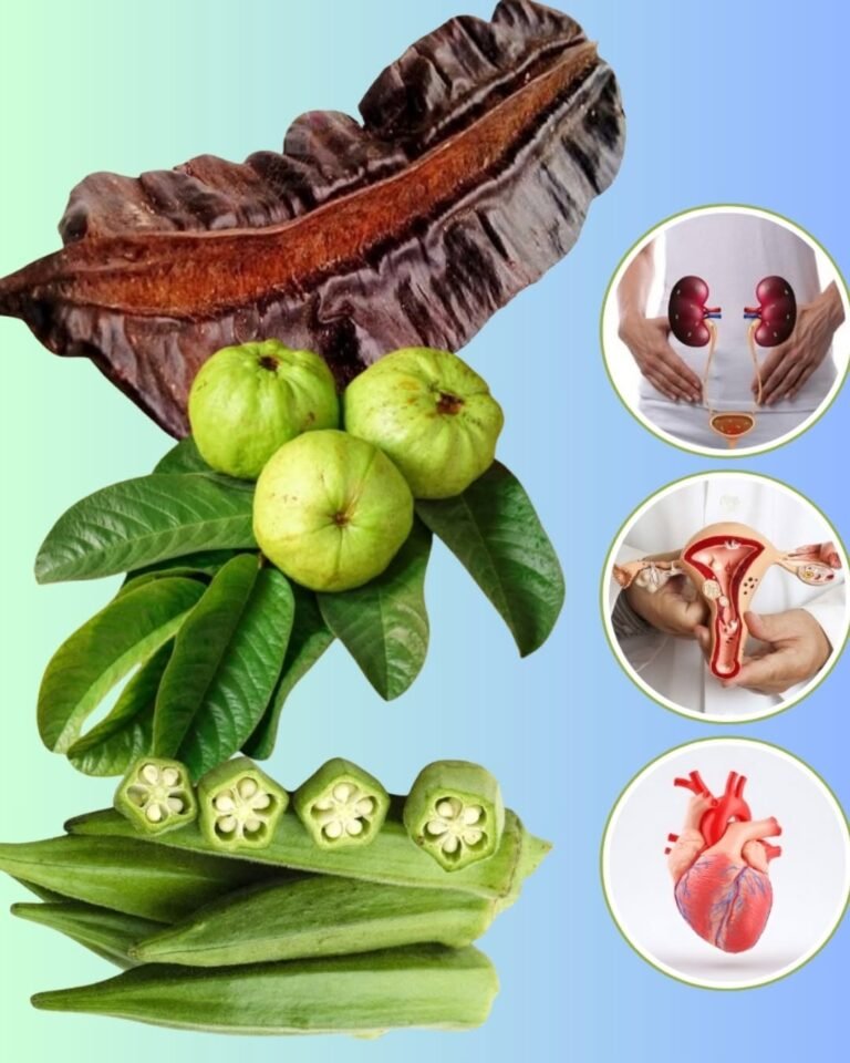 Unlock Ovulation Power with Guava Leaves, Aidan Fruit, and Okra
