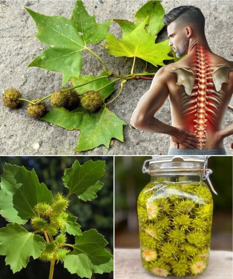7 Surprising Health Benefits and How to Use It at Home