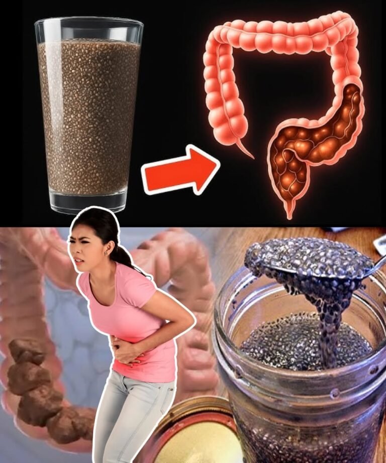 All Diseases Begin in the Gut 💥 (Here’s How You Can Heal It) 🤯