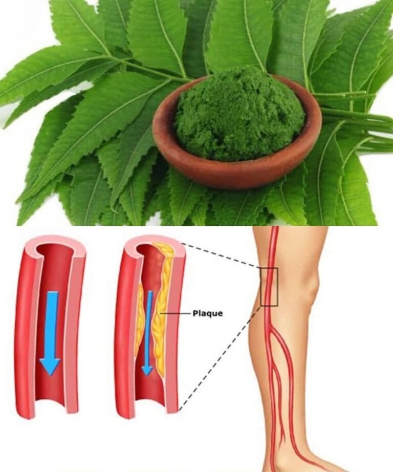 Discover the Leaf That Can Transform Your Health Naturally