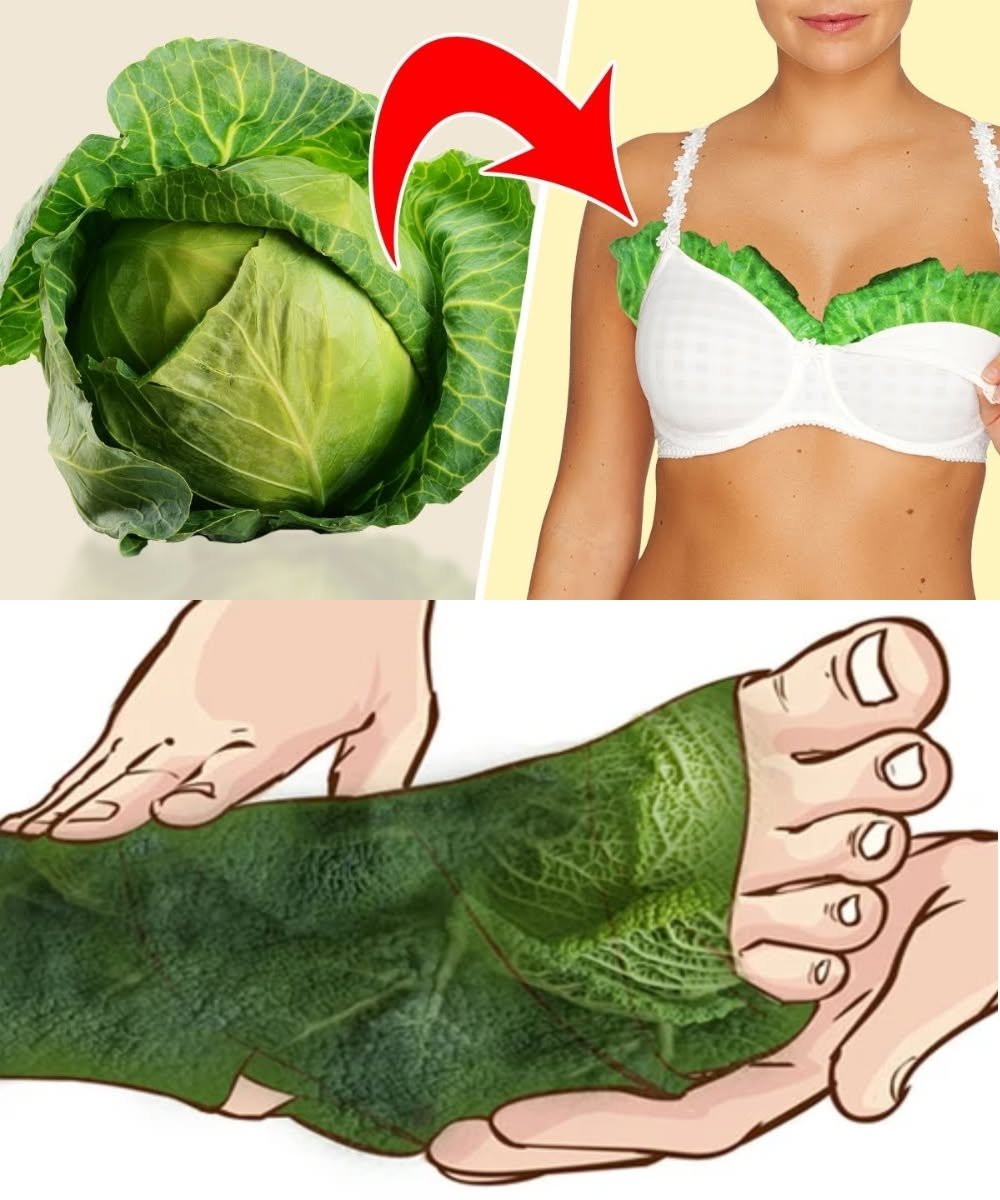 Top 11 Ancient Health Secrets with Cabbage You’ll Want to Try