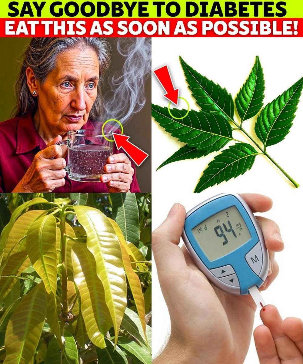 13 Powerful Leaves That Help Manage Diabetes Naturally