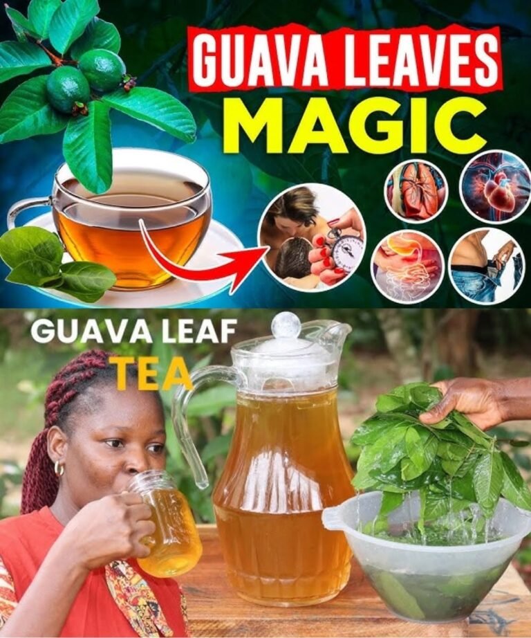 Guava Leaf Tea: A Natural Remedy with 14 Surprising Benefits