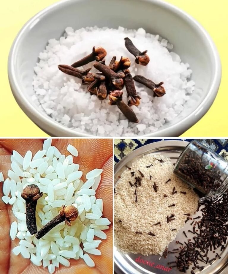 Pantry Bugs in Your Rice or Beans? Here’s How to Stop Weevils Naturally