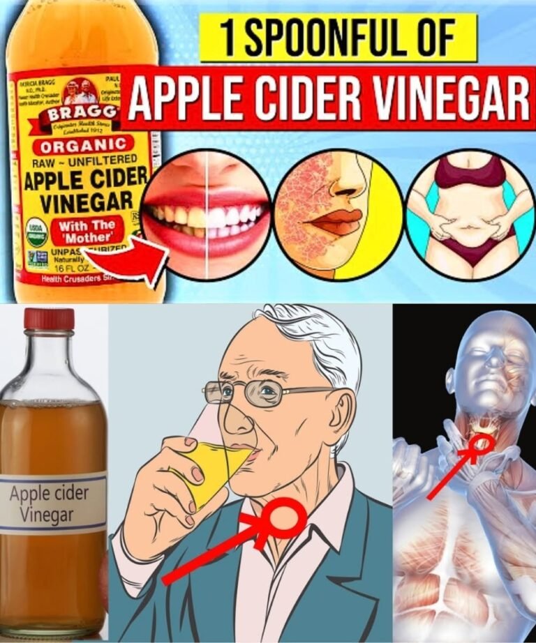 🍎 Apple Cider Vinegar: 8 Gentle Benefits for Everyday Wellness