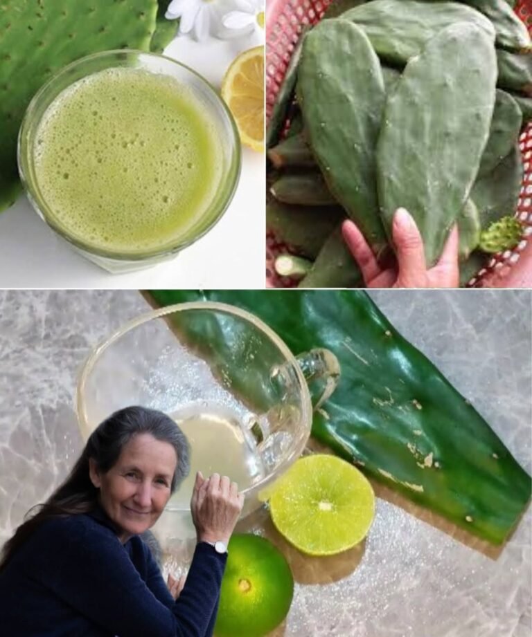 Lemon and Nopal Remedy: A Natural Boost for Your Body