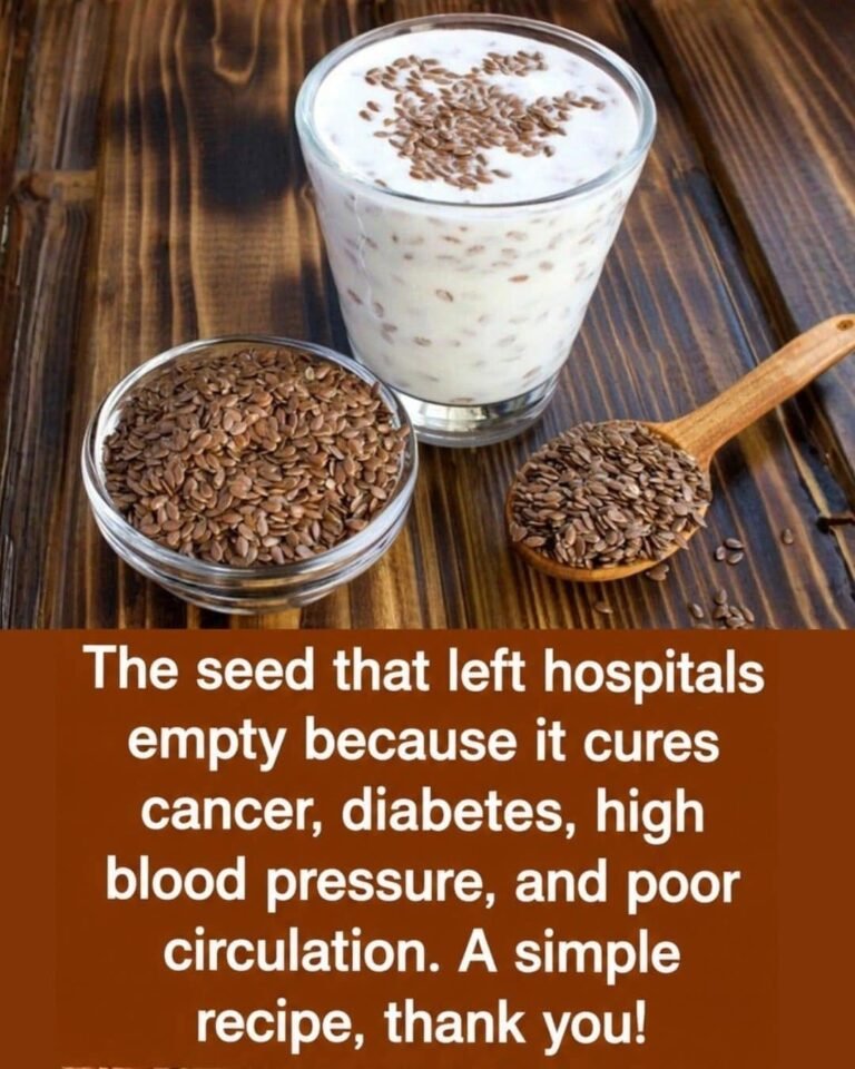 Grape Seed Benefits: Why These Tiny Seeds Are a Powerful Natural Antioxidant