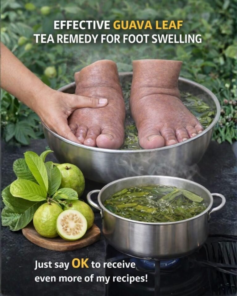 Guava Leaves for Fluid Retention: A Natural Way to Support Balance and Comfort