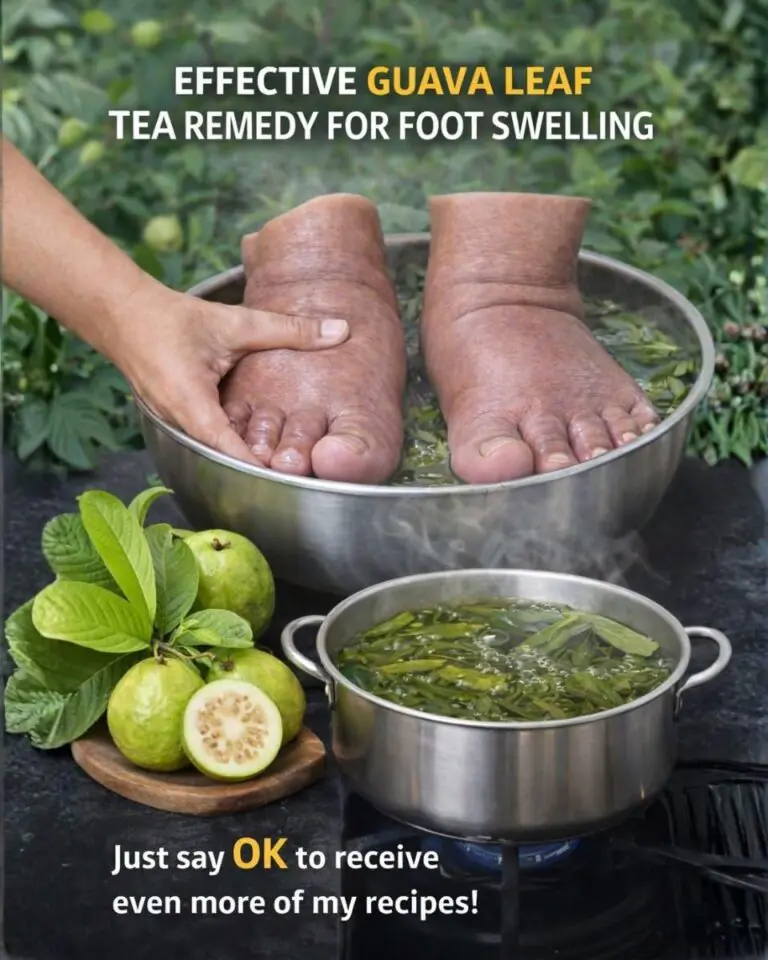 Guava Leaves for Fluid Retention: A Natural Way to Support Balance and Comfort