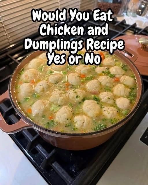 Chicken and Dumplings