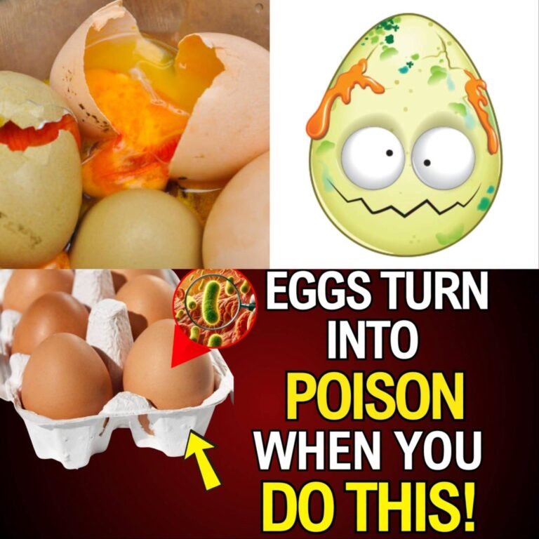 Common Mistakes That Make Eggs Unhealthy (senior health, common mistakes, for the elderly)