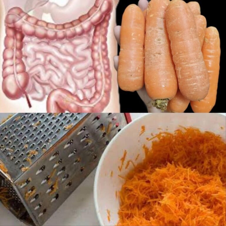 Intestines and Liver Will Feel Like New! The 3-Day Carrot Recipe for a Lighter, Happier Gut 🥕✨