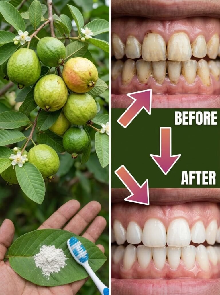 Discover the Natural Power of Guava Leaves for a Brighter, Fresher Smile
