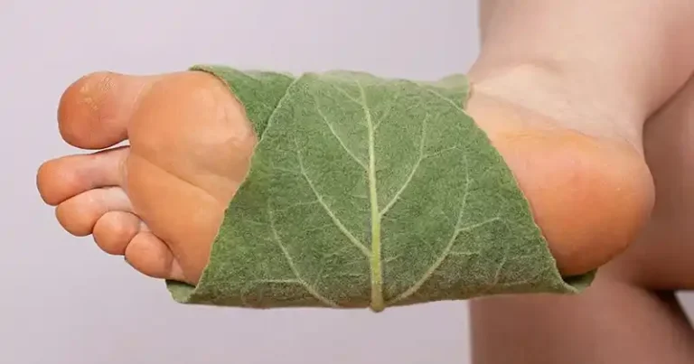 The Simple Power of Mullein on the Soles of Your Feet