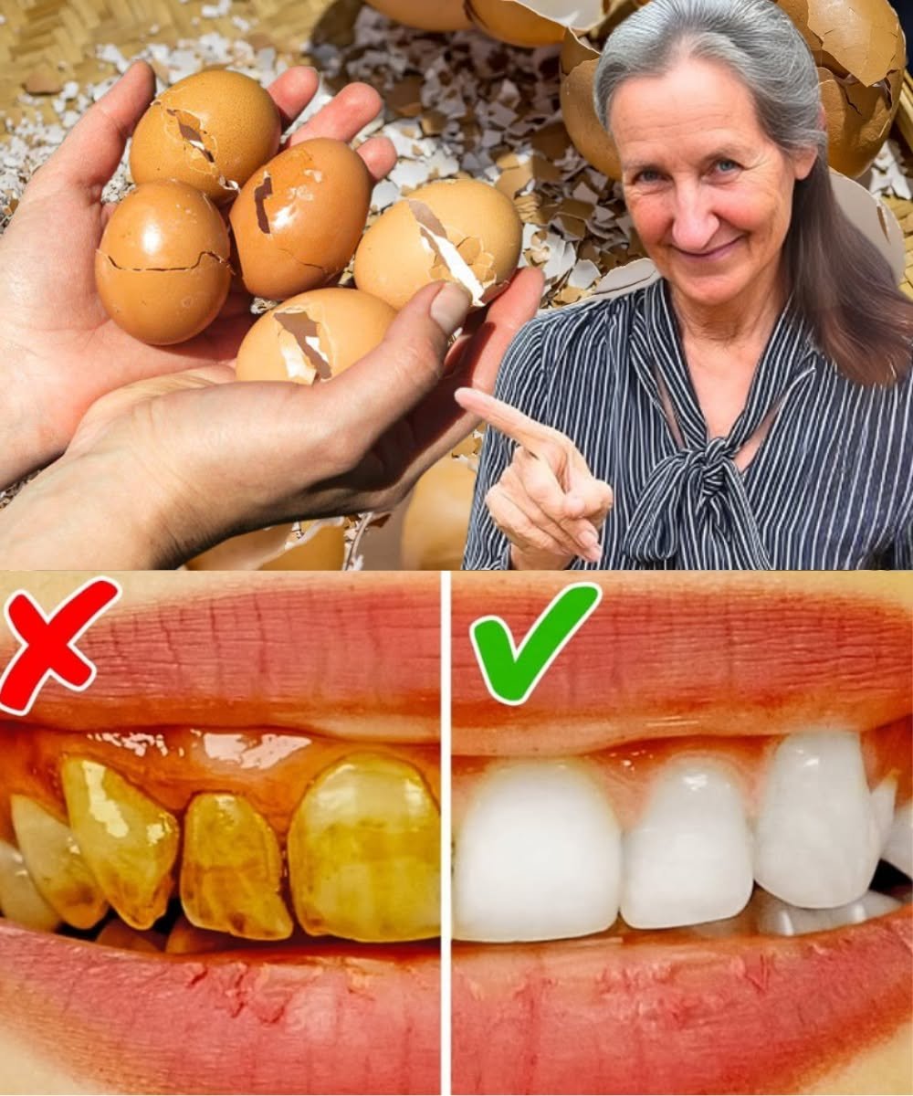 ✨ Unlock a Brighter Smile with an Unexpected Natural Ingredient: Eggshells