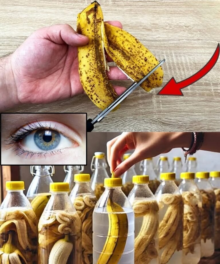 🍌 The Hidden Power of Banana Peels: Nature’s Most Underestimated Treasure!