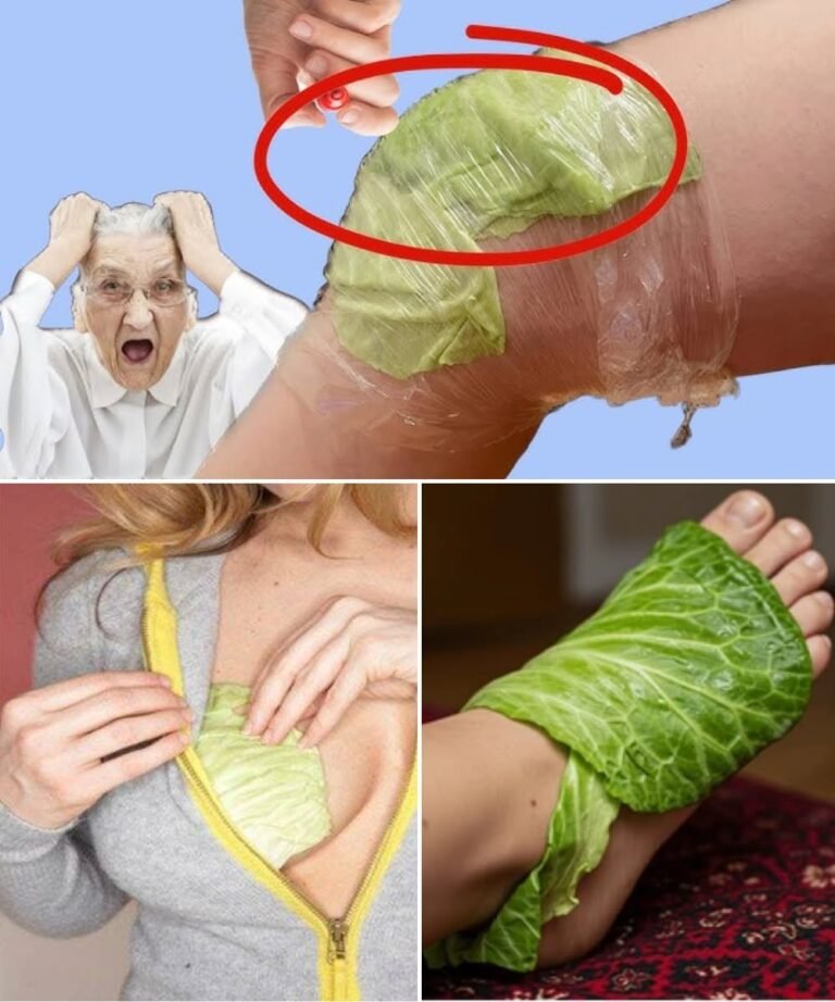 Powerful Healing with Cabbage Leaves: Why Wrapping Them Around Your Body Works Wonders