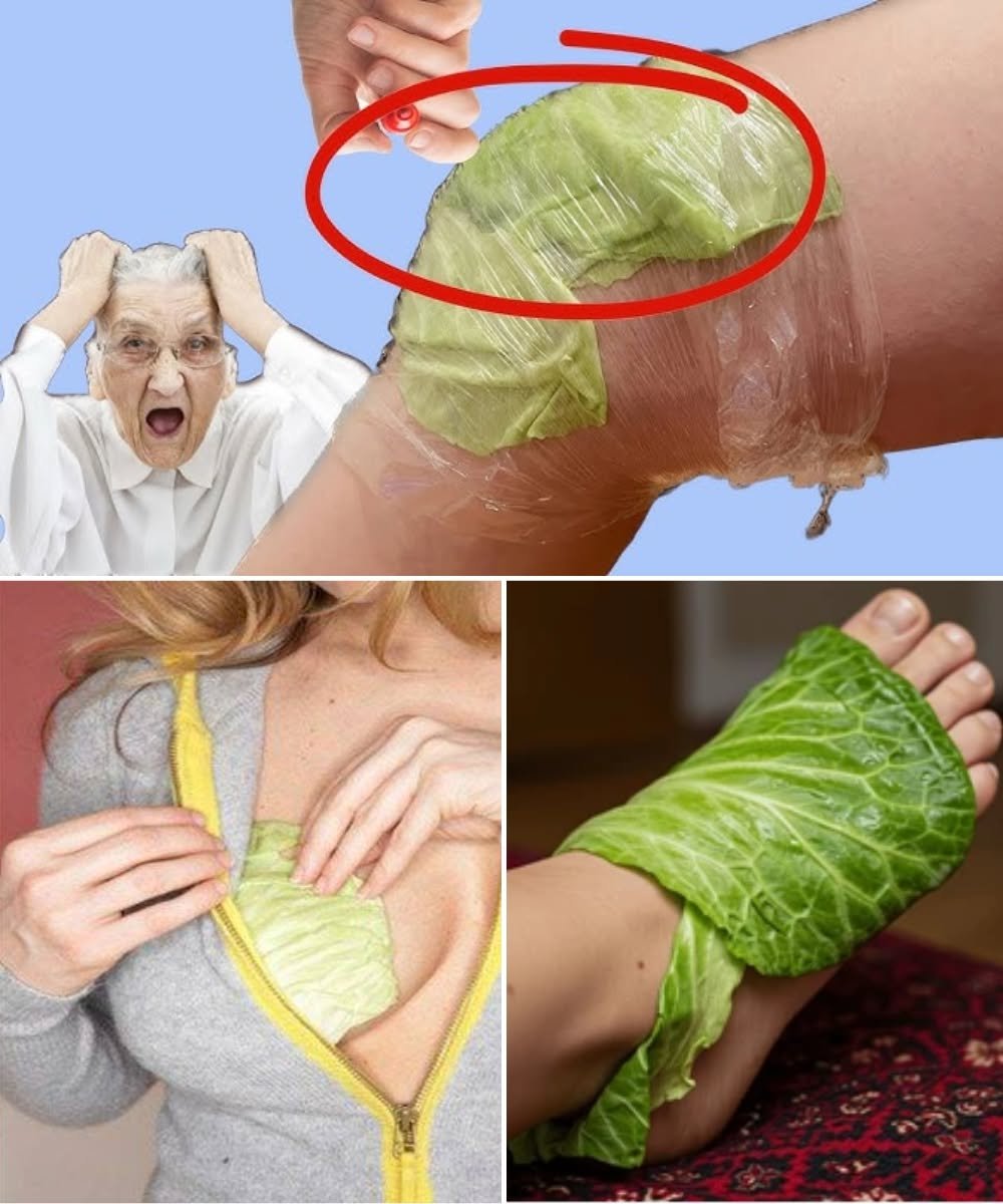 Powerful Healing with Cabbage Leaves: Why Wrapping Them Around Your Body Works Wonders