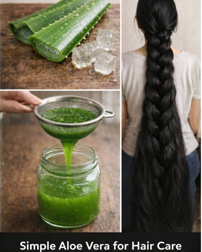 How to Make Aloe Vera Oil to Support Hair Growth and Reduce Hair Fall 🌿