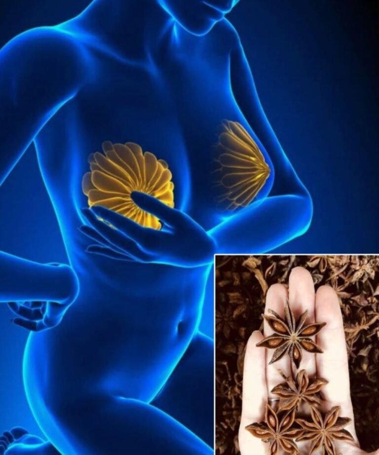 Anise Seeds: 8 Remarkable Benefits for Women – When Science Meets Ancient Tradition