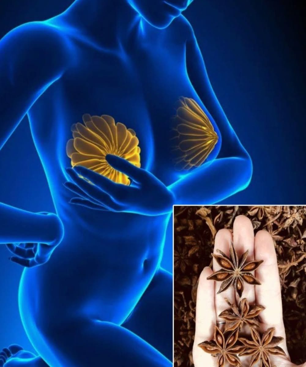 Anise Seeds: 8 Remarkable Benefits for Women – When Science Meets Ancient Tradition