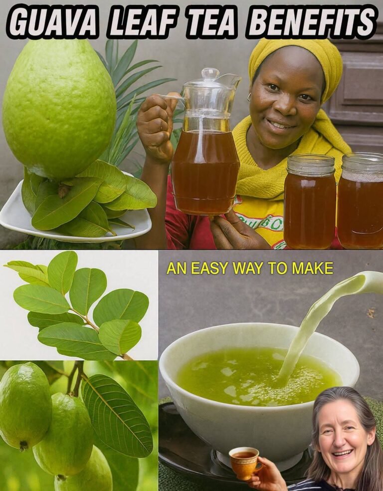 THE TROPICAL ELIXIR: 17 Reasons Why You Should Drink Guava Leaf Tea Twice a Week