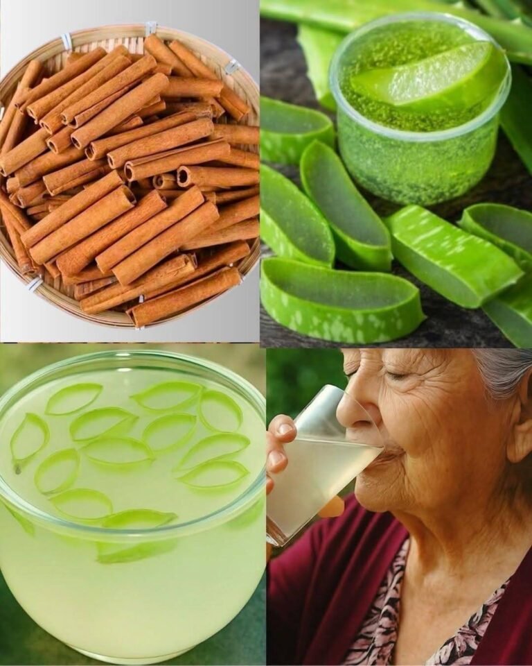 🍃 The Power of Aloe Vera and Cinnamon