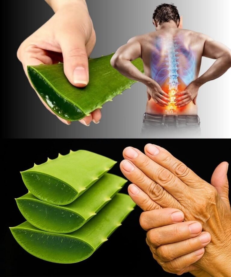 🌿 Apply This to Your Joints and Bones: The Aloe Vera Miracle | Smart Natural Trick ✨
