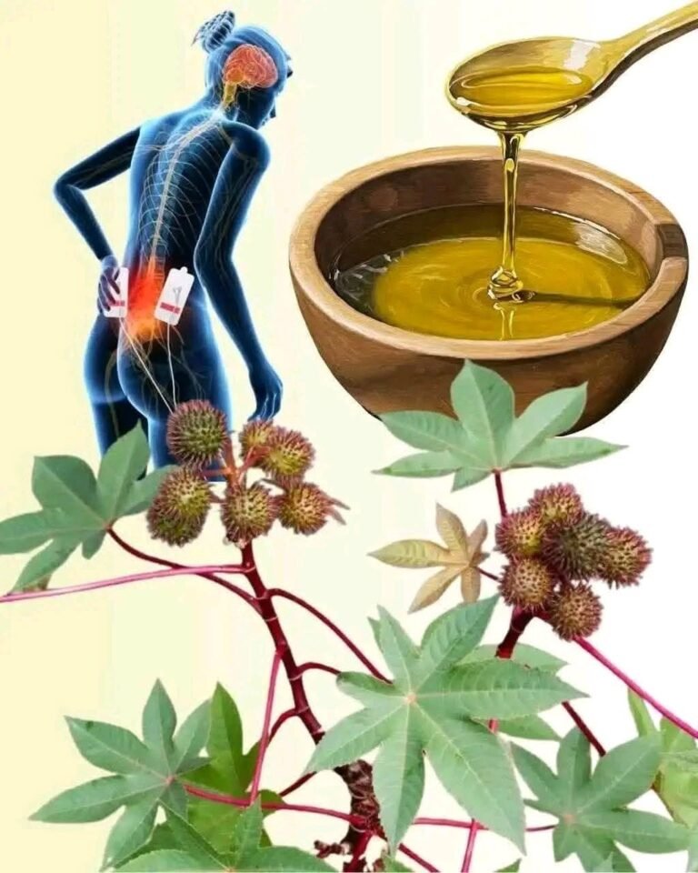 Discover the Hidden Gold in Your Garden: The Amazing Power of Castor Leaves