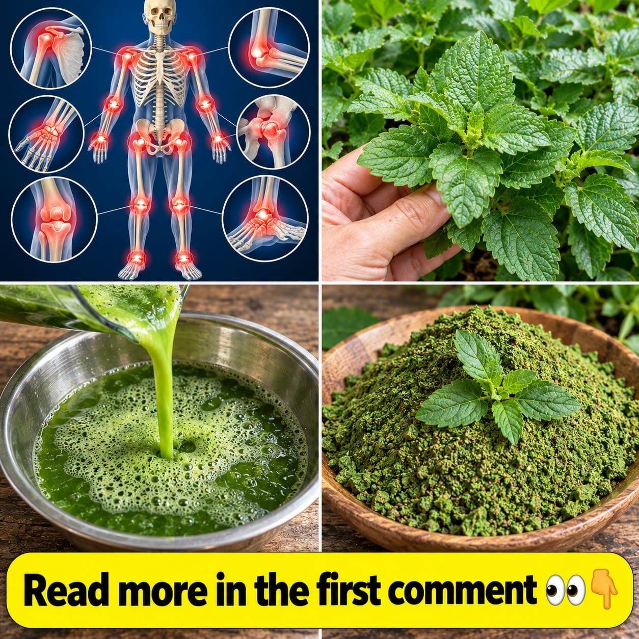 Mint Leaf Water for Respiratory Comfort: A Simple Herbal Drink That Feels Fresh, Light, and Soothing