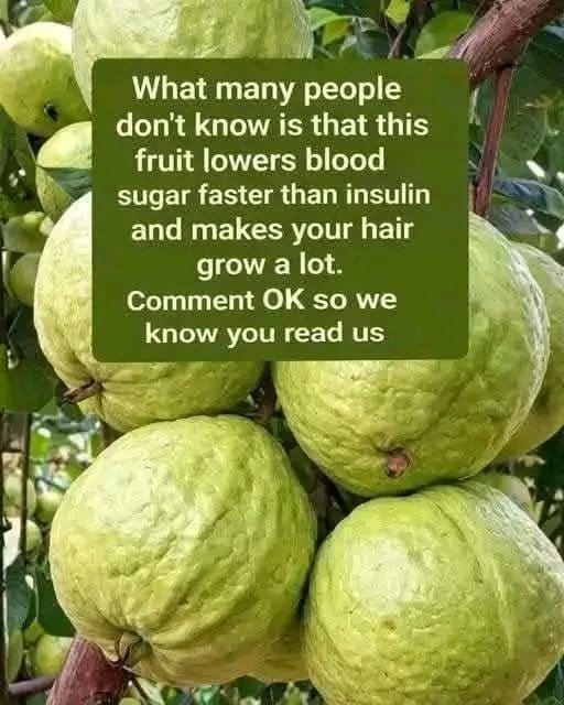 Benefits and Uses of Chayote Juice: A Refreshing Addition to a Healthy Diet