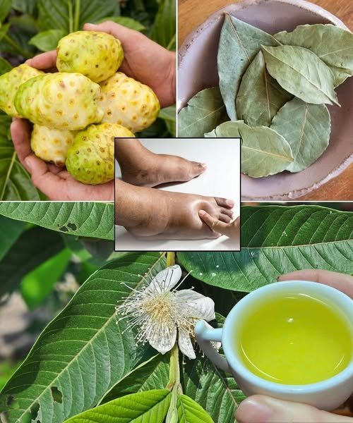 A Powerful Drink to Combat Swollen Feet, Diabetes, and Poor Circulation