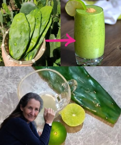 Lemon & Nopal: The Gut-Friendly, Blood Sugar-Balancing Duo You Need