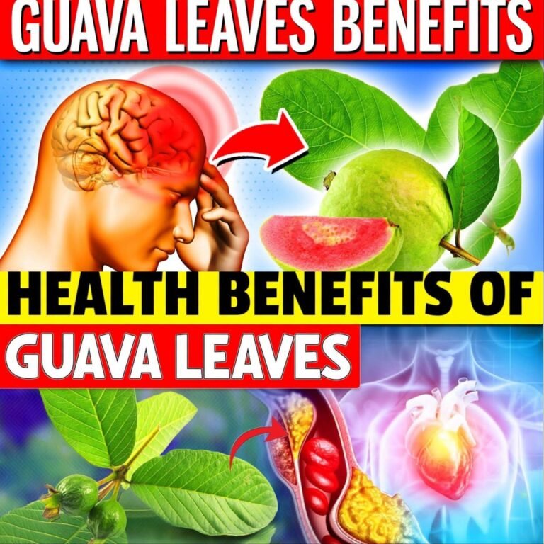10 Surprising Benefits of Guava Leaves: Why This Traditional Herbal Tea Is Getting So Much Attention