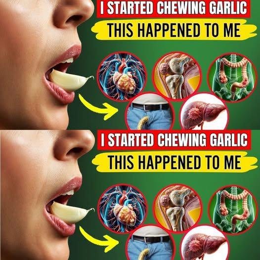 Just Started Chewing 2 Garlic Cloves and Said Goodbye to 10 Health Problems! See How!