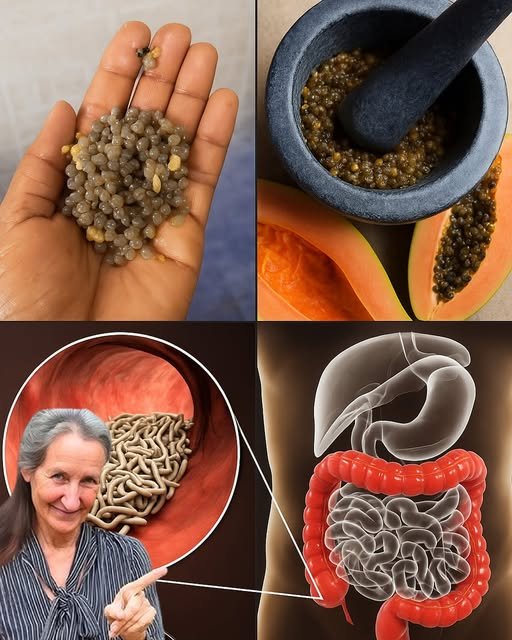 Discover the Hidden Treasure of Papaya Seeds: A Nutritional Powerhouse for Vibrant Health