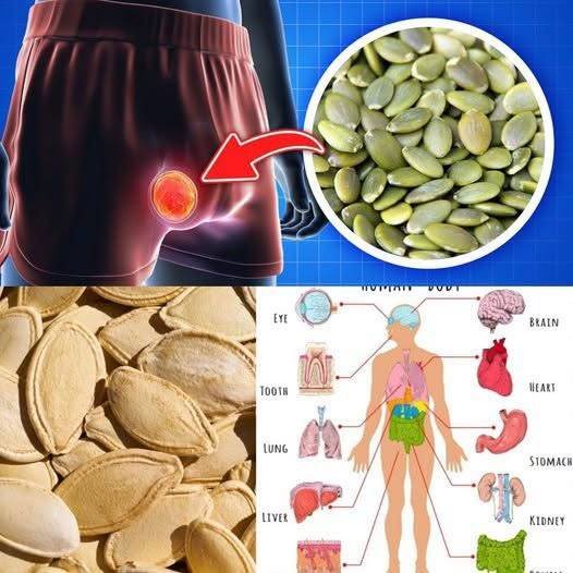 What Happens To Your Body When You Eat Pumpkin Seeds Every Day | Pumpkin Seeds Benefits