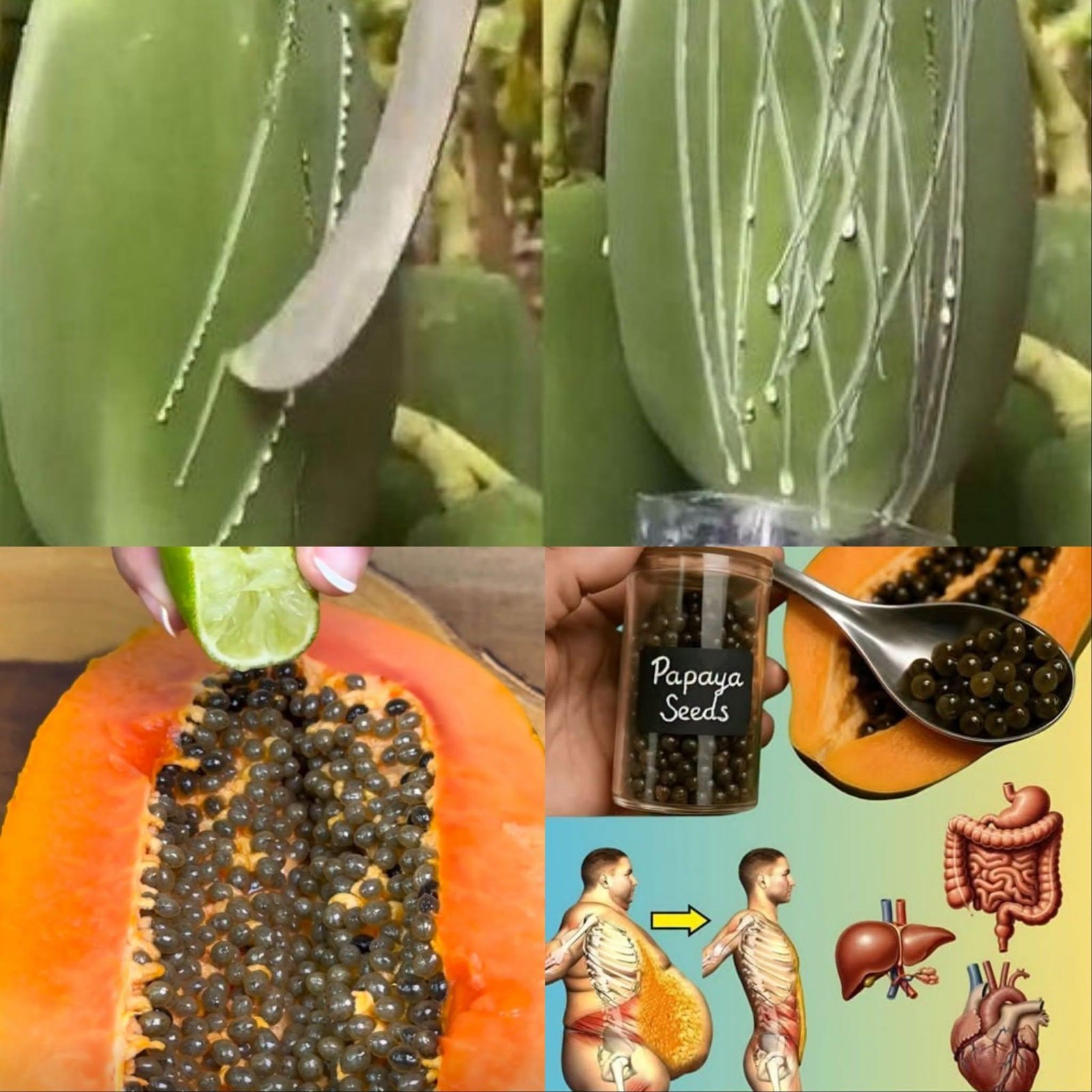 The Papaya Seed and Lime Elixir: A Natural Digestive Powerhouse