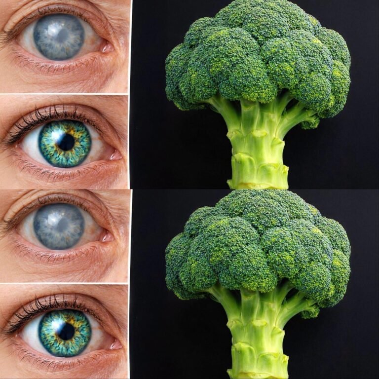 4 Delicious Broccoli and Carrot Recipes That Support Healthy Eyesight — Easy Meals Worth Trying!
