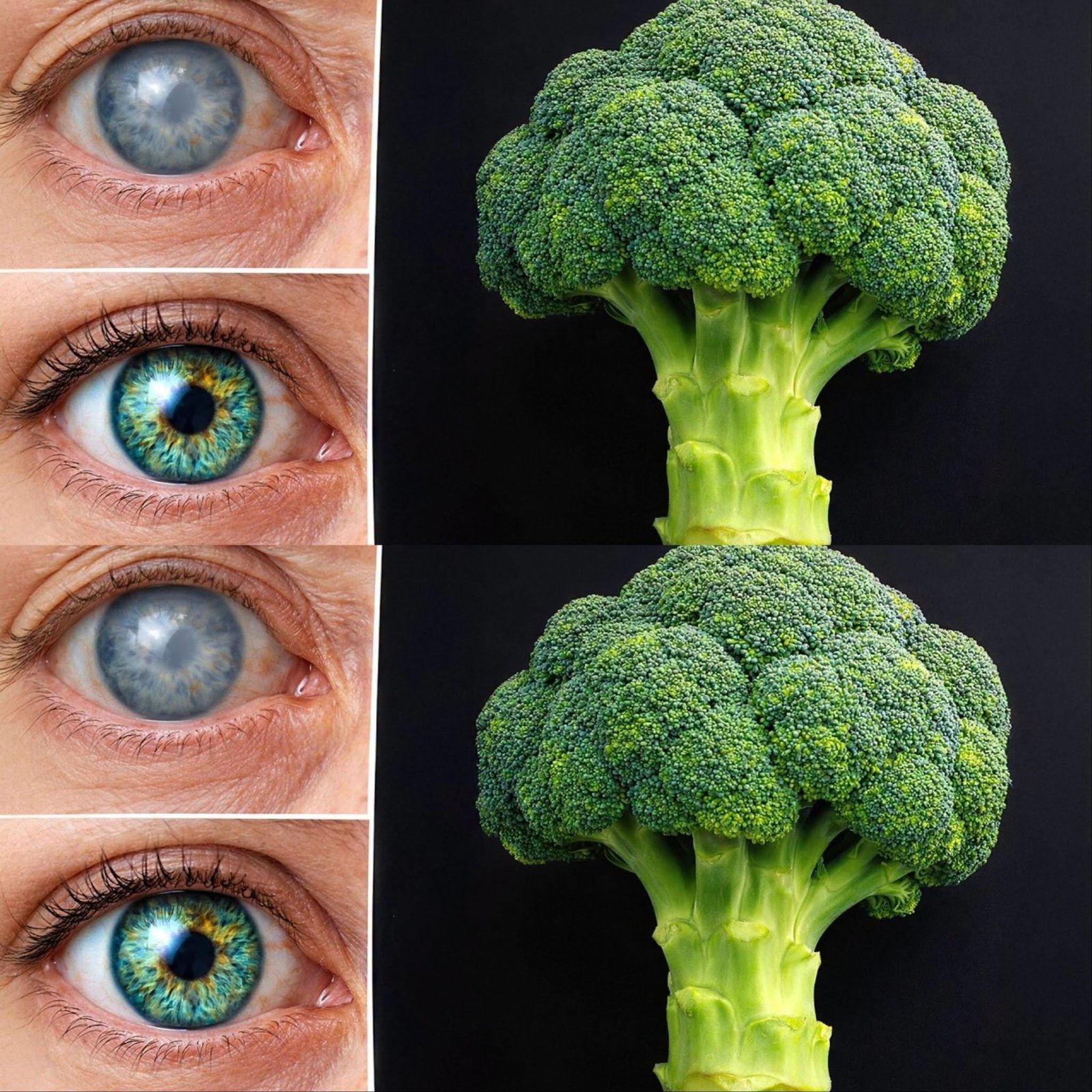 4 Delicious Broccoli and Carrot Recipes That Support Healthy Eyesight — Easy Meals Worth Trying!