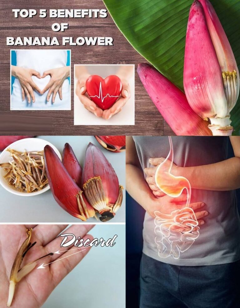 Unveiling the Tropical Treasure: Banana Blossoms – The Unsung Superfood Revolutionizing Your Health!
