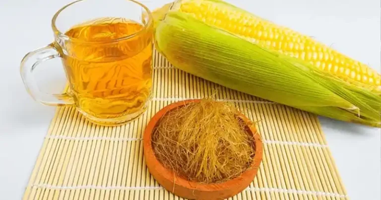 Corn Silk: 30 Health Benefits and How to Use It